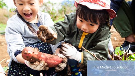 how to start a charity foundation in canada|How to Start a Nonprofit in Canada: Everything You Need to Know.